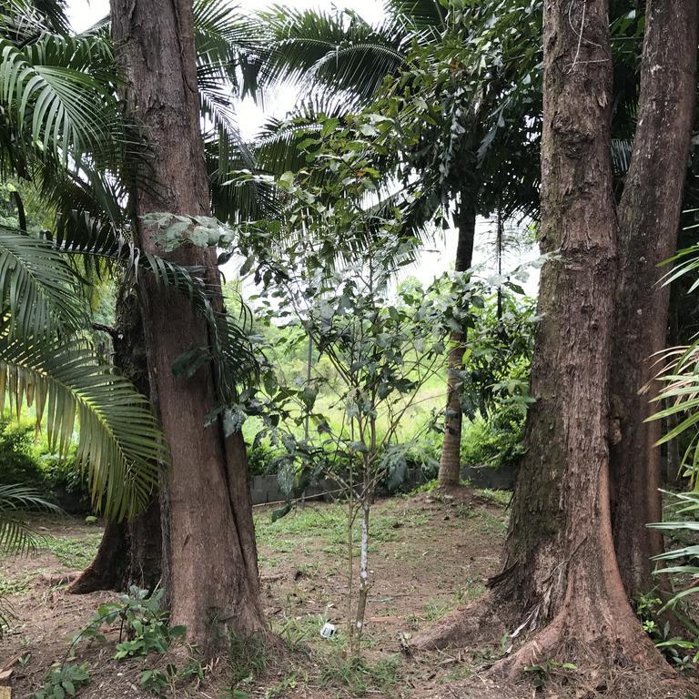 Coconut Bungalow Nai Yang Beach المظهر الخارجي الصورة