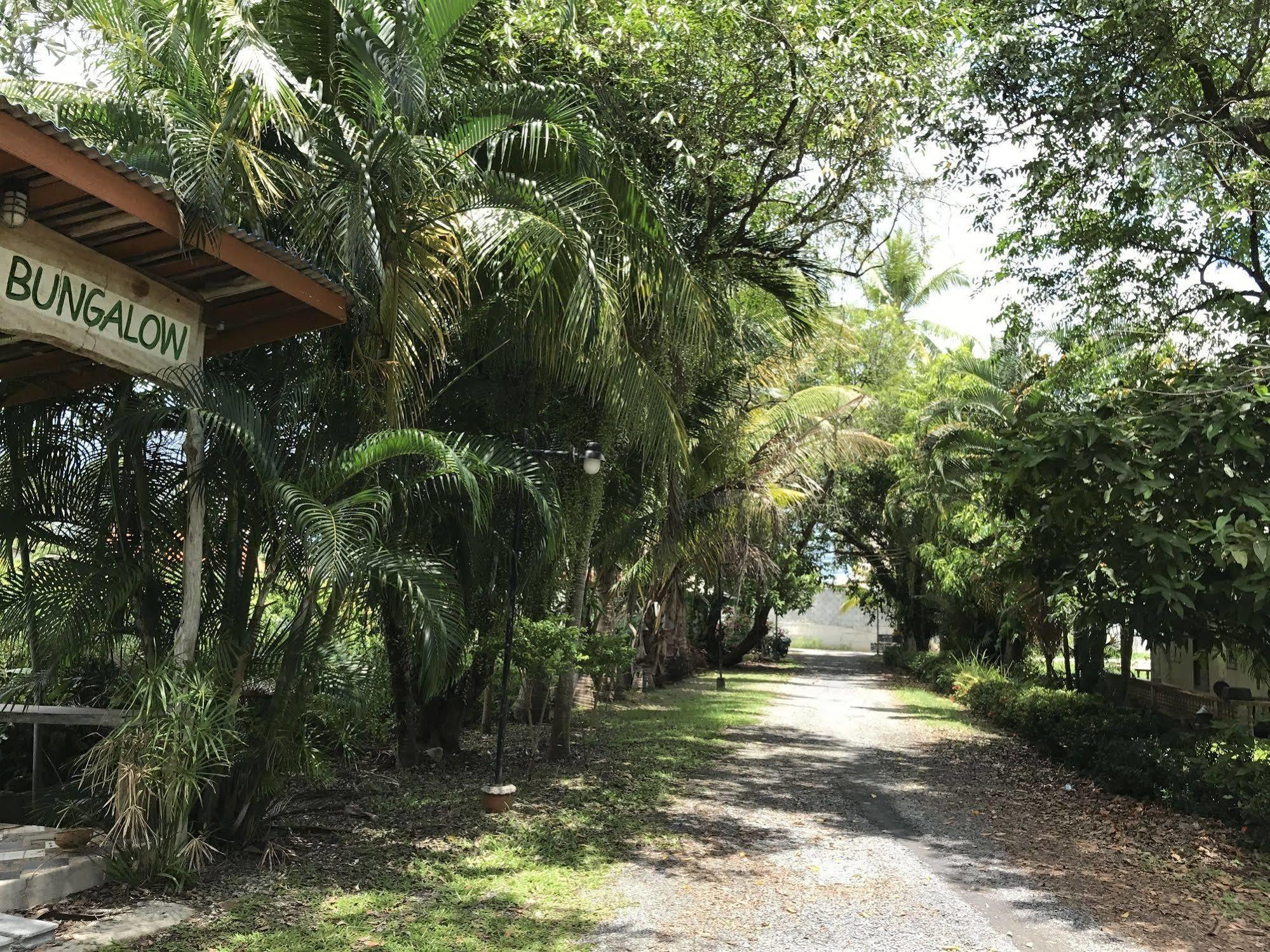 Coconut Bungalow Nai Yang Beach المظهر الخارجي الصورة
